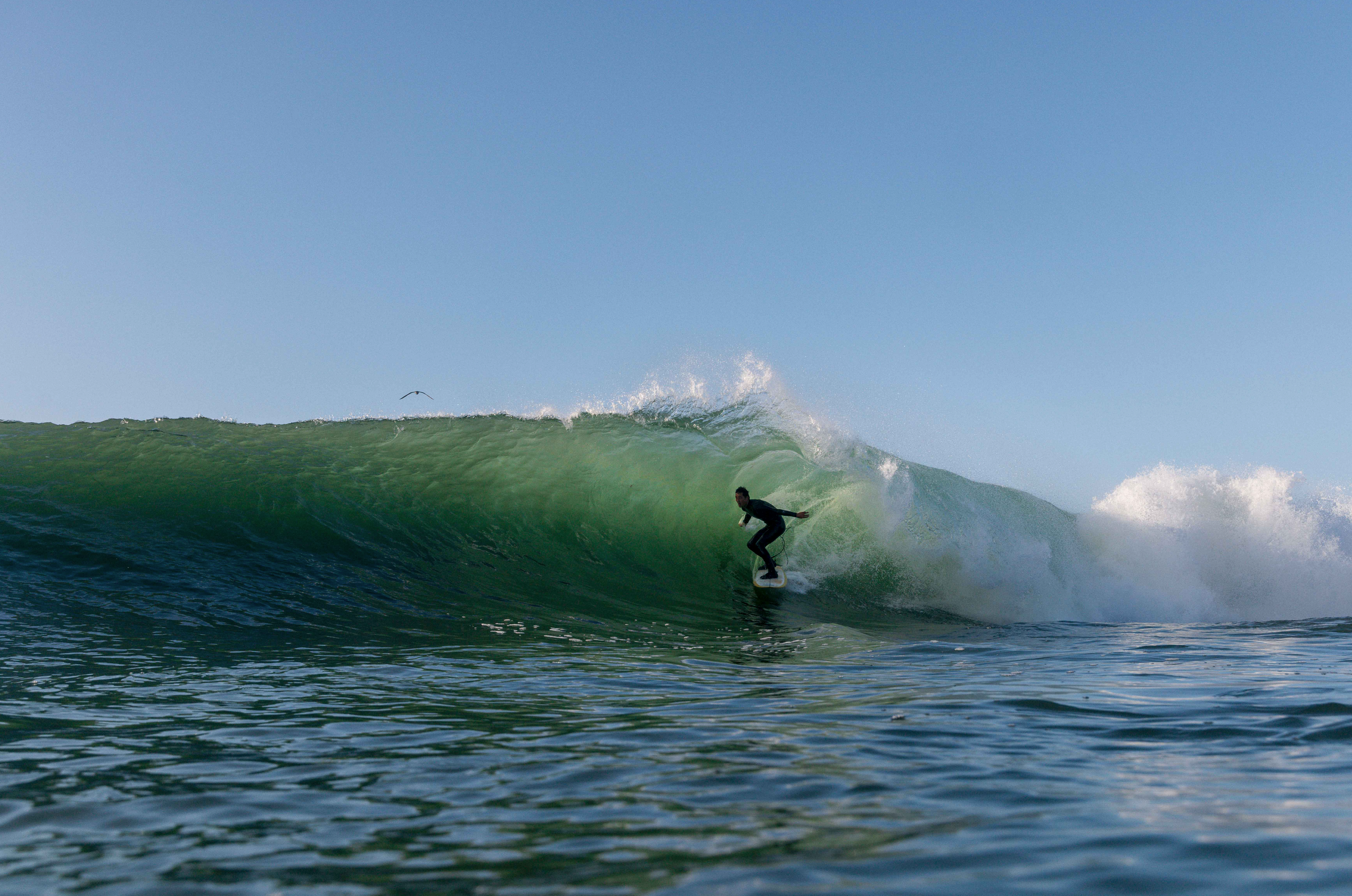 Vissla Wetsuits & Lycras