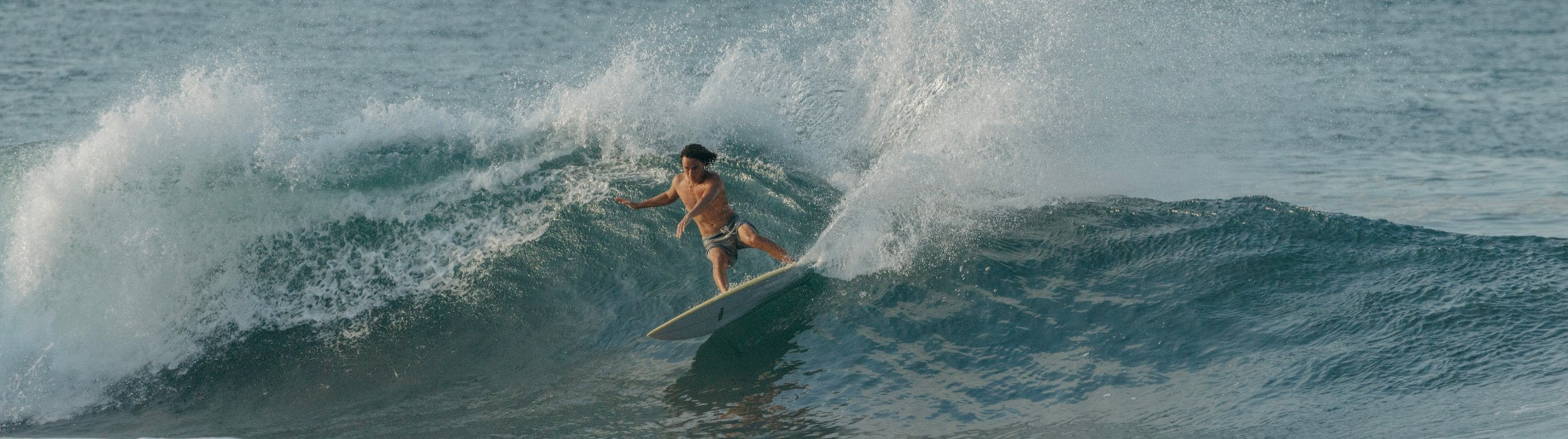 Boardshorts